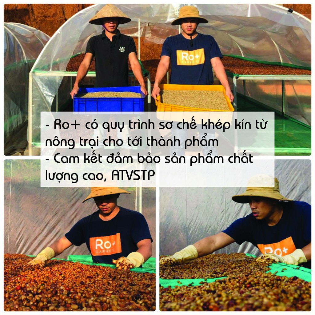 [Mã GROSALE giảm 10% đơn 150K] Cà phê Gu Mạnh nguyên chất rang mộc, pha phin, pha máy từ Roplus Coffee