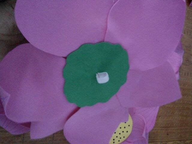 Hoa sen múa cho bé | BigBuy360 - bigbuy360.vn