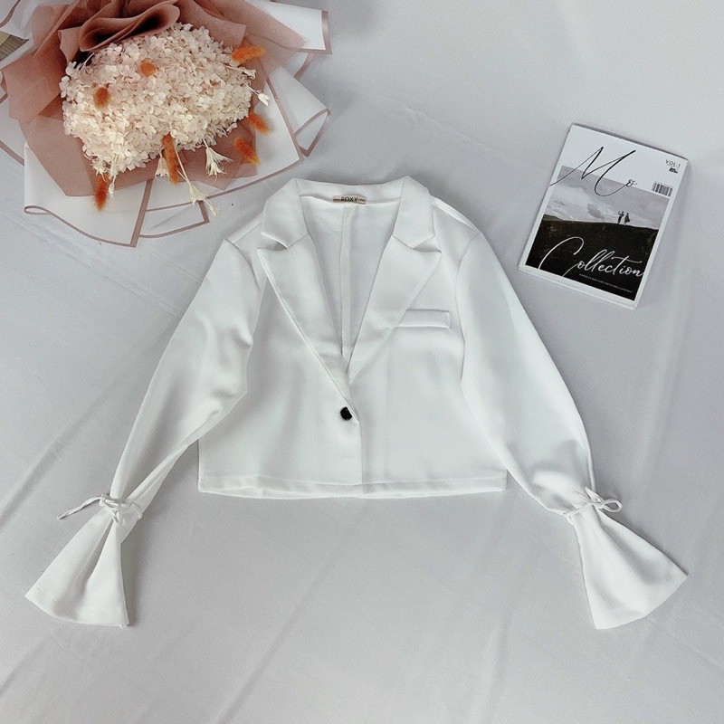 áo khoác vest tay cột nơ ( ảnh chụp dưới nền) | BigBuy360 - bigbuy360.vn