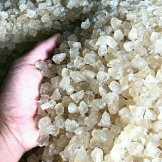 [Freeship] 1kg mủ trôm ninh thuận (tặng hạt é)