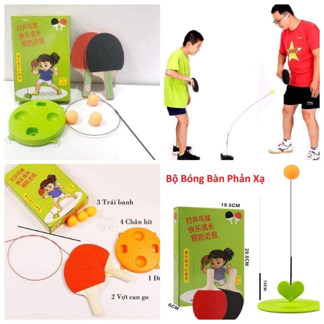 Bộ bóng bàn phản xạ