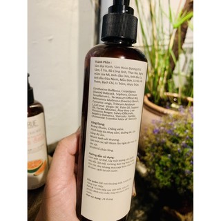Sữa Tắm/Dầu Gội Thảo Dược