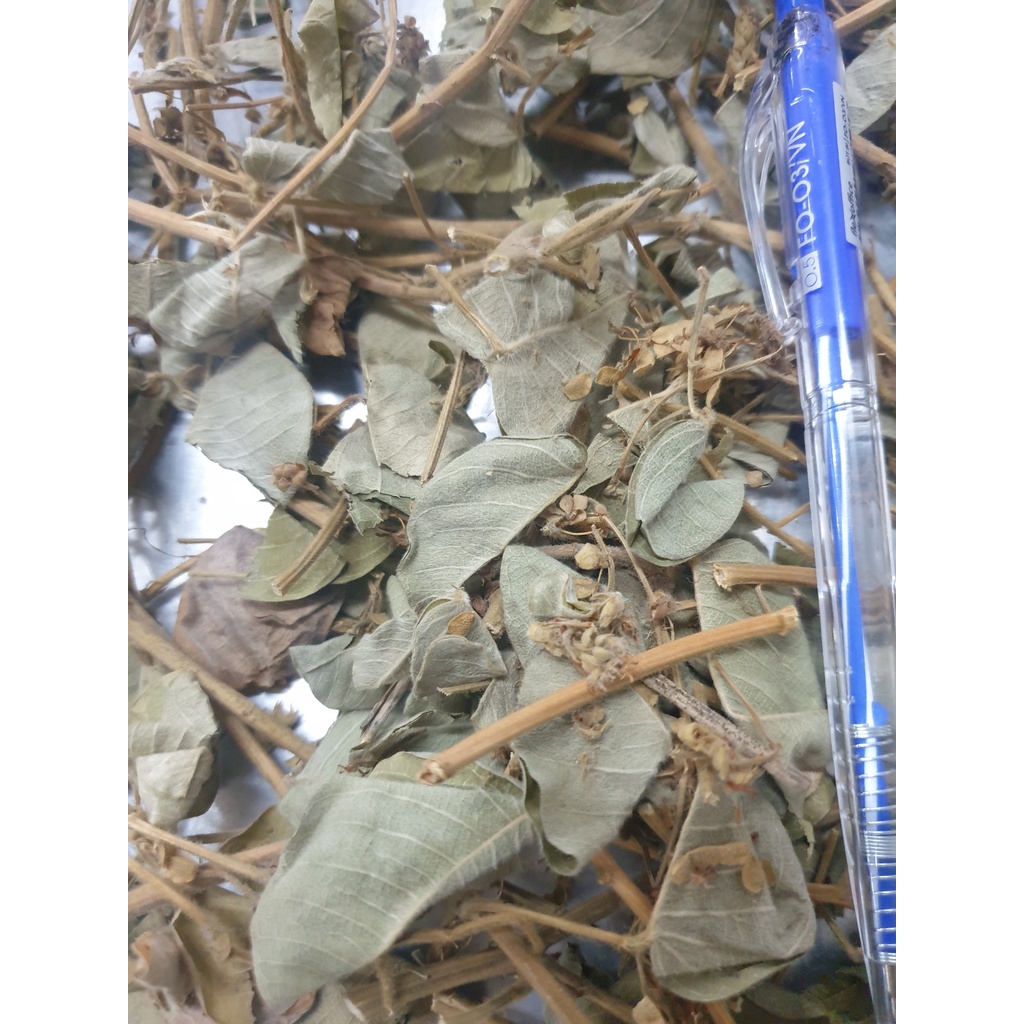 KIM TIỀN THẢO XỊN 1KG - TUỆ MINH