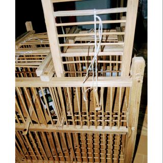 Bẫy chim khuyên 4 cửa