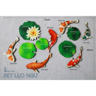 SET CÁ KOI DECOR NHÀ CỬA