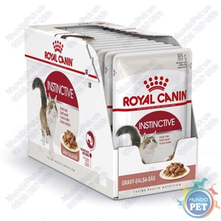 [FREESHIP TỪ 99K] ROYAL CANIN - PATE ƯỚT CHO MÈO ( HỘP 12 GÓI 85g )