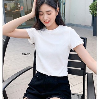 Áo thun cotton nữ cổ tròn chất cotton lụa mặc mềm mại , siêu mát