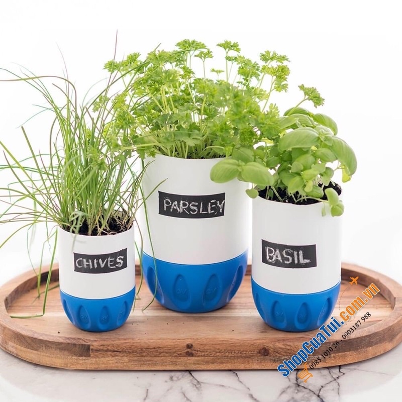 Kem dưỡng ẩm QV Skin Lotion 1.25L nội địa Úc - thích hợp cho da khô hoặc da nhạy cảm