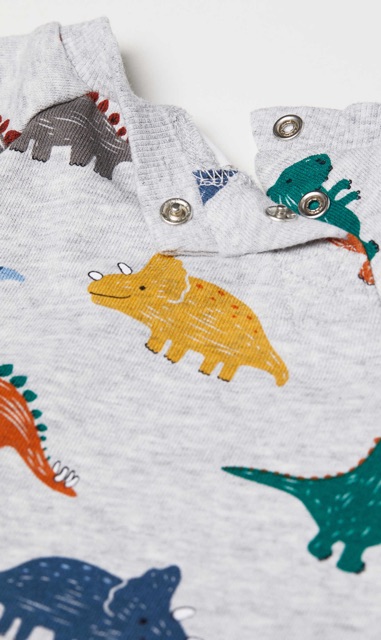 Bộ nỉ khủng long HM auth (hàng sẵn có ảnh thật)