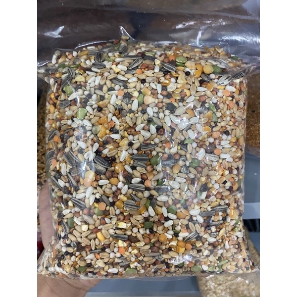Ngũ cốc hạt trộn dành cho hamster, két, vẹt, yến phụng,... - Pet Food Store.