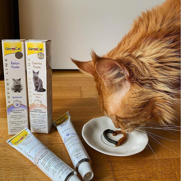 GIMCAT RELAX Gel dinh dưỡng giảm stress mệt mỏi cho mèo