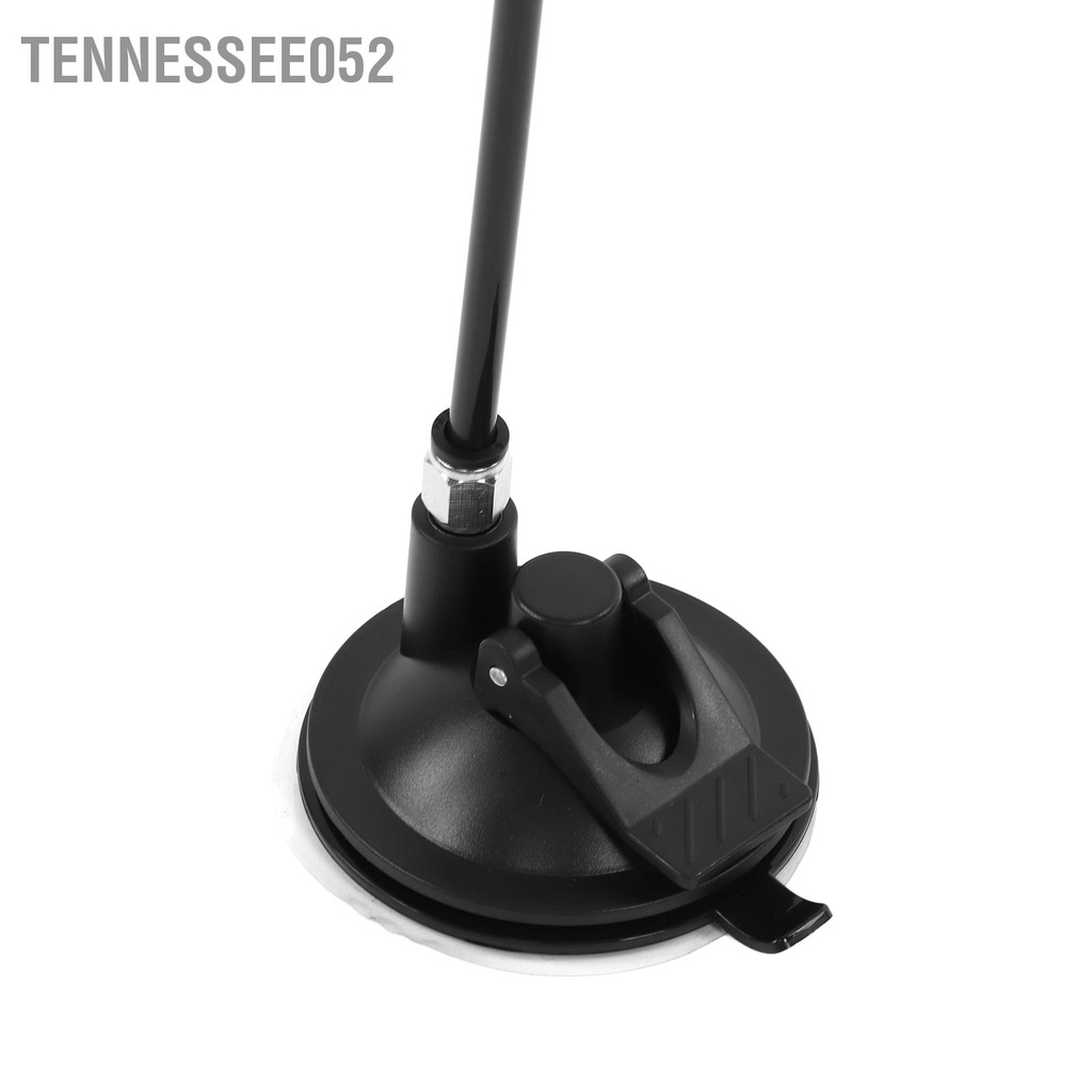 Tennessee052 Tách hút lông vũ mèo tương tác Gậy chọc ghẹo có chuông để con trong nhà tập thể dục cho già