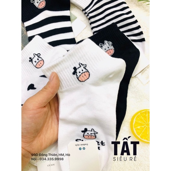 Set Tất Tuần - 7 Ngày Cổ Ngắn Nam Nữ Thoáng Mát Thấm Hút Chống Hôi - Tất Siêu Rẻ