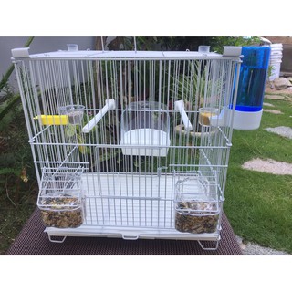 cành đậu cho chim 22cm