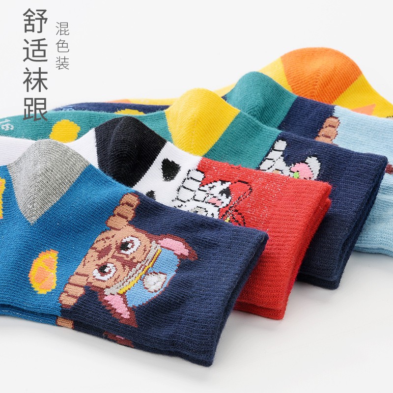 Tất cho bé trai bé gái DINOKING Set 5 đôi tất vớ cao cổ cho bé dày dặn giữ ấm chân mùa thu đông trẻ em 1 - 9 tuổi PAW PATROL
