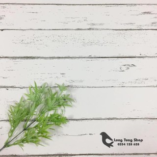 Lá phong xanh - Phụ kiện chụp hình sản phẩm