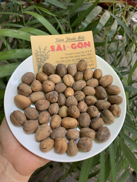 Hạt Bả Đậu