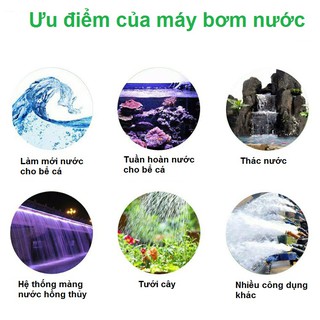 Máy bơm nước chìm cho hồ cá, bể cá