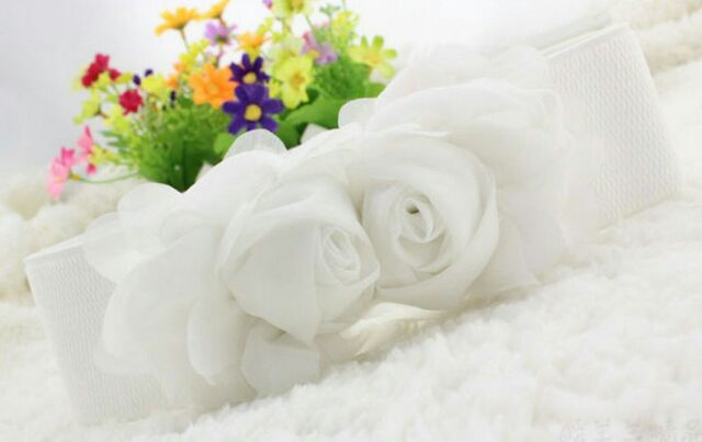 Dây nịt thắt lưng hàn quốc