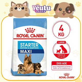 Thức ăn hạt cho chó bầu và chó sơ sinh Royal Canin Maxi Starter Mother & Baby Dog 1kg - YêuLu Shop