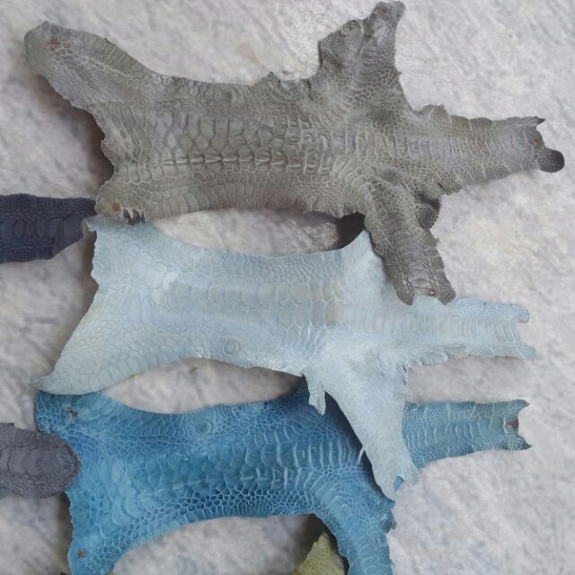 Da chân gà làm dây đồng hồ