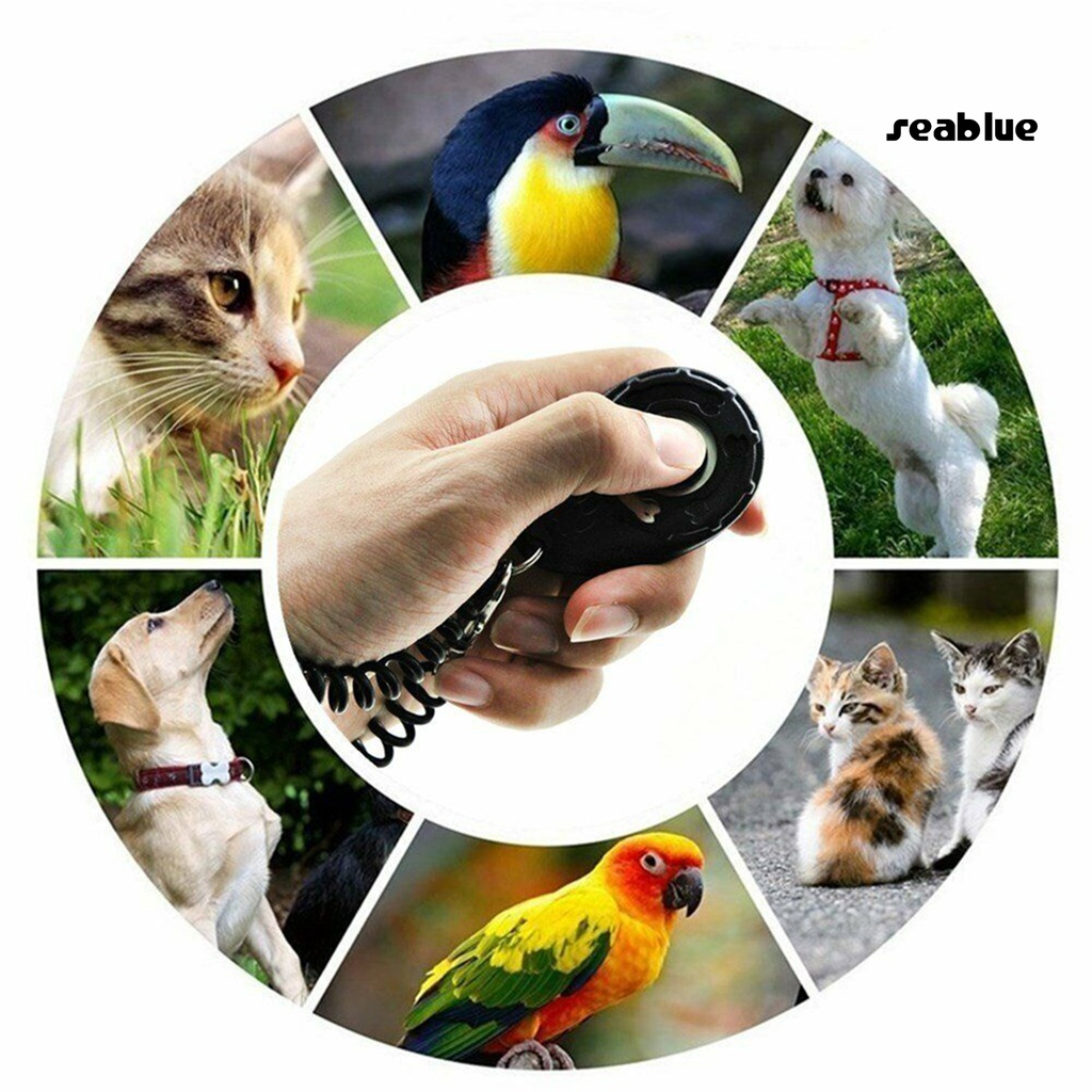 Dụng cụ hỗ trợ huấn luyện thú cưng hình oval bằng ABS