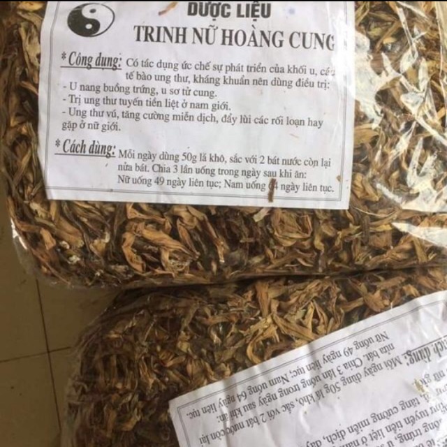 Trinh nữ hoàng cung khô
