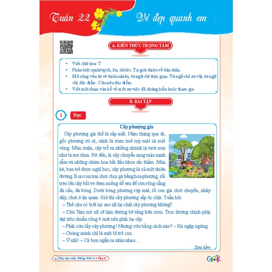 Sách - Bộ 2 quyển bài tập tuần và đề kiểm tra Tiếng Việt lớp 2 học kì 2 kết nối tri thức