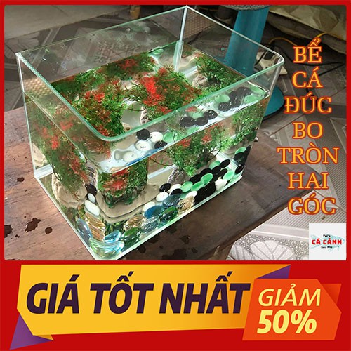 Bể Cá Cảnh Đúc Mini Bể (  26cm x 15cm x 18cm) Bo Tròn Hai Góc Cao Để Bàn Cao Cấp