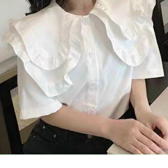 áo kiểu hàn quốc, áo sơ mi cổ bèo | BigBuy360 - bigbuy360.vn