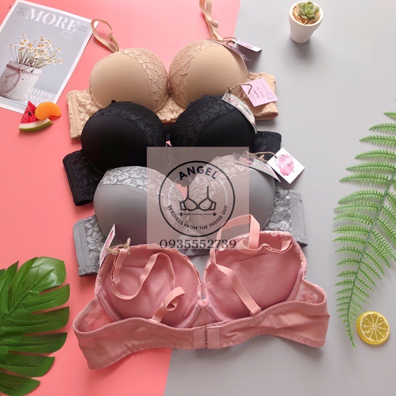 Đồ lót Thái | Áo ngực mút dày, form đẹp - Áo lót thái lan Siterhood #2227 - angel.bra