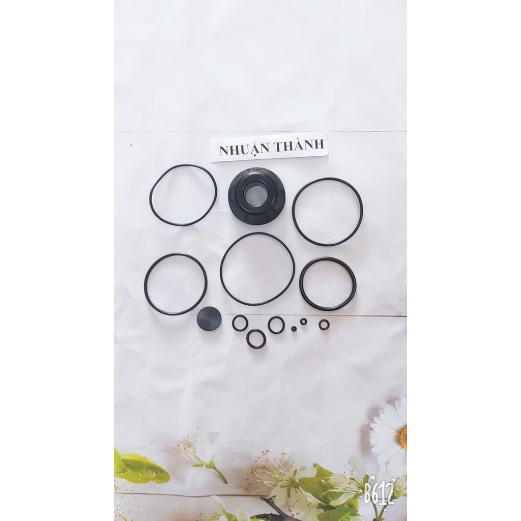 ST64C ron súng bắn đinh bê tông 5 phân