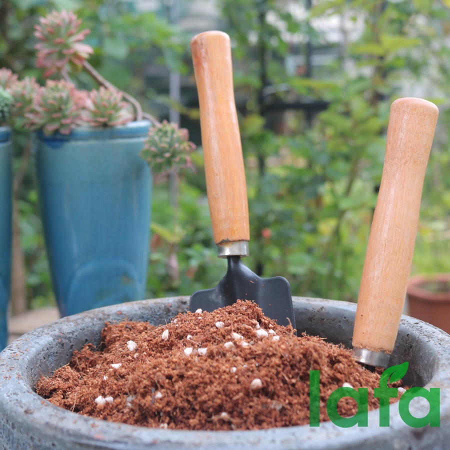 Giá thể mụn dừa đã xử lý LAFA COCO PEAT túi 5L