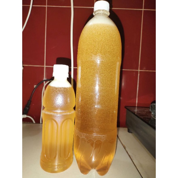 Mật ong rừng người nhà đi lấy