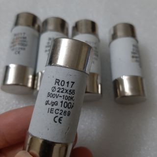 Cầu chì sứ 100A 22x58