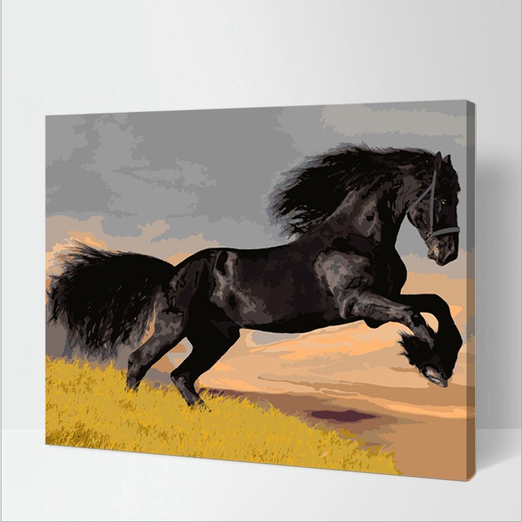 Tranh 40*50cm đã căng khung - TRANH PHONG THỦY - Tranh sơn dầu số hóa tự tô màu theo số