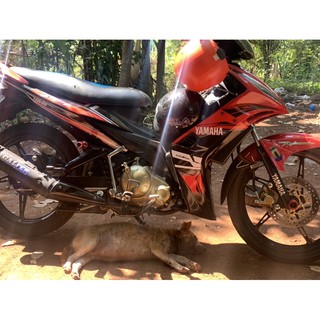 tem exciter 2010 Yamaha đỏ đen cao cấp