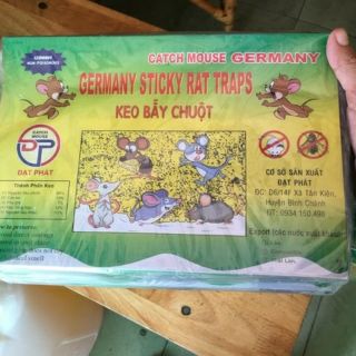 Combo 10 miếng keo dính chuột keo bẫy chuột