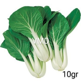 Hạt giống Cải Bẹ Trắng