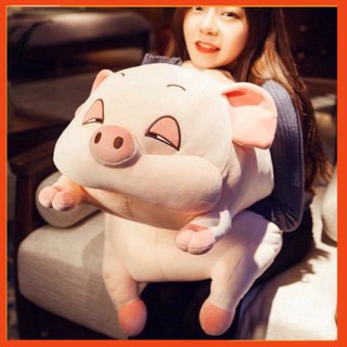 Gấu Bông Heo Mắt Híp, Lợn Ngủ Phê Cần Đờ Đẫn 45cm - 110cm