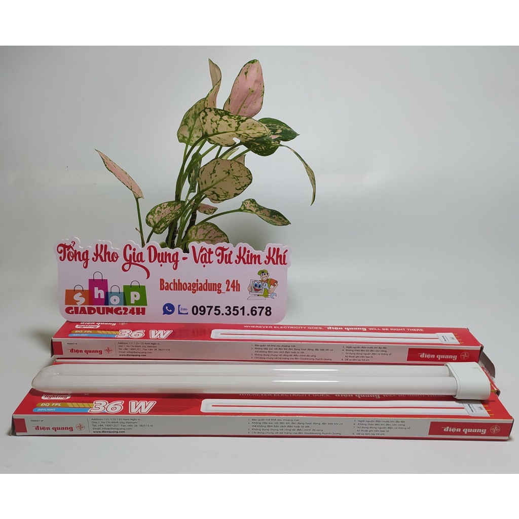 Bóng đèn chữ U DOUBLE WING 24W / 36W thay thế-Giadung24h