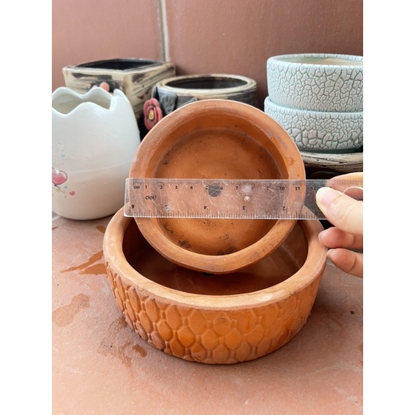 Chậu trồng sen đá