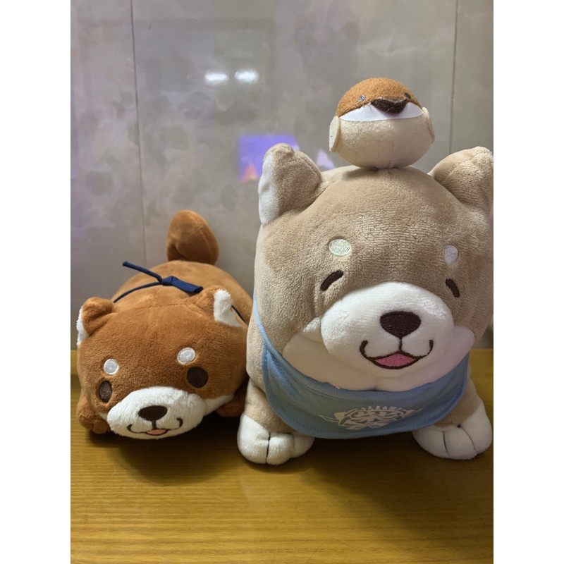 Cặp Shiba đẹp | BigBuy360 - bigbuy360.vn
