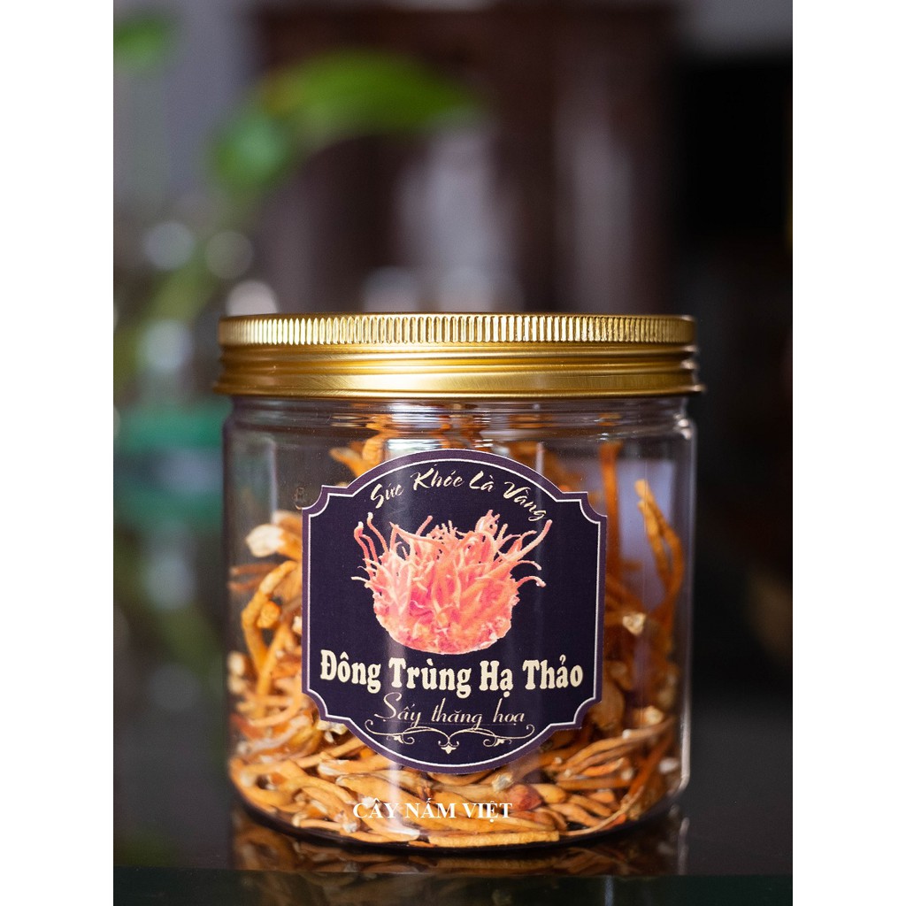 10g Đông Trùng Hạ Thảo khô sấy thăng hoa - Cây Nấm Việt