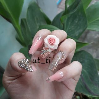 Hoa hồng đại_hoa bột mỹ nail