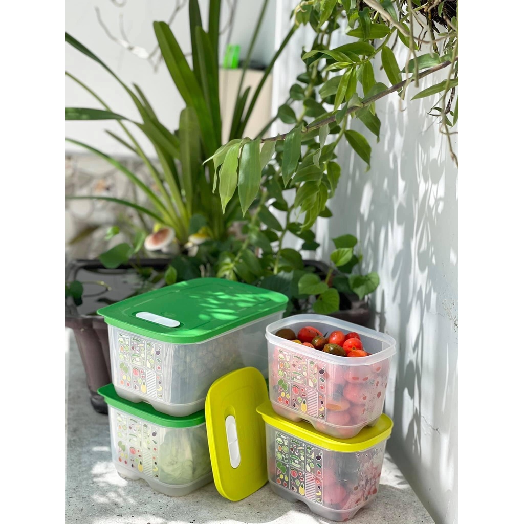 Bộ hộp Ventsmart nữ hoàng trữ mát có nút hô hấp cao cấp set 4  Tupperware