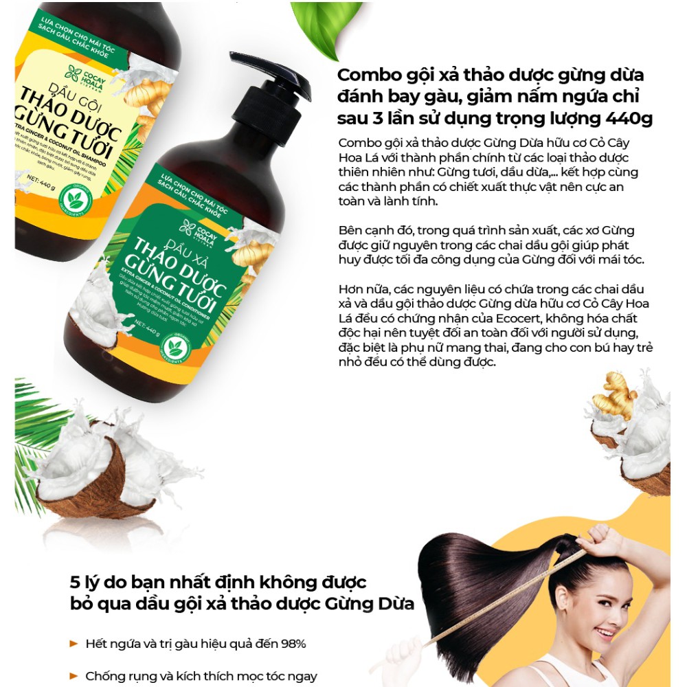 Dầu gội/ Dầu xảthảo dược Gừng - Dừa CoCayHoaLa 440g