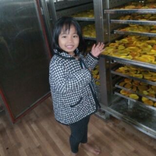 Xoài sấy dẻo Thanh Thanh