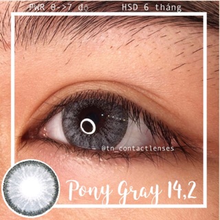 Kính áp tròng Pony Gray 14.2