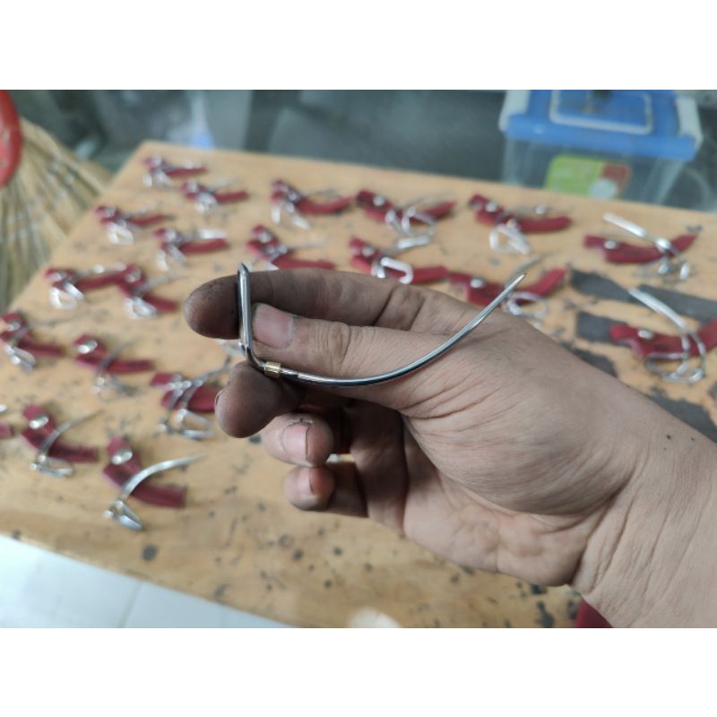 Cựa Gà Nòi Việt Lai Cải Tiến - Đủ Size